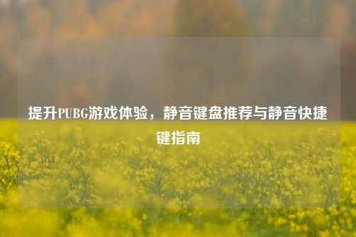 提升PUBG游戏体验，静音键盘推荐与静音快捷键指南