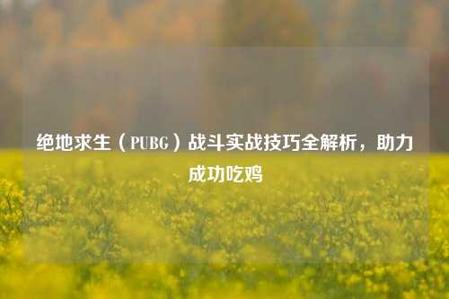 绝地求生（PUBG）战斗实战技巧全解析，助力成功吃鸡