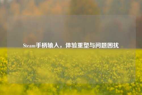 Steam手柄输入，体验重塑与问题困扰