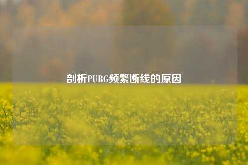 剖析PUBG频繁断线的原因