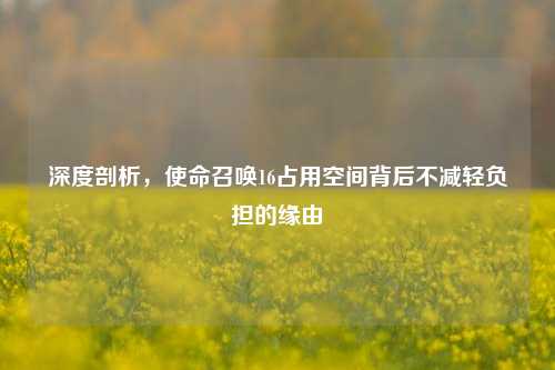 深度剖析，使命召唤16占用空间背后不减轻负担的缘由