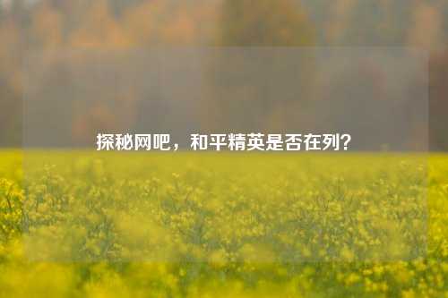 探秘网吧，和平精英是否在列？