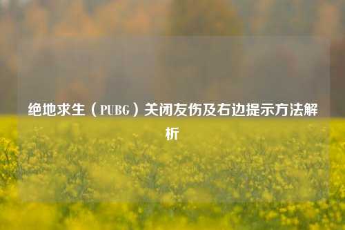 绝地求生（PUBG）关闭友伤及右边提示方法解析