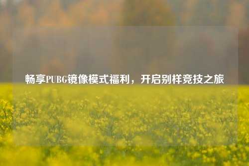畅享PUBG镜像模式福利，开启别样竞技之旅
