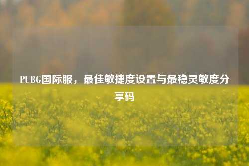 PUBG国际服，最佳敏捷度设置与最稳灵敏度分享码