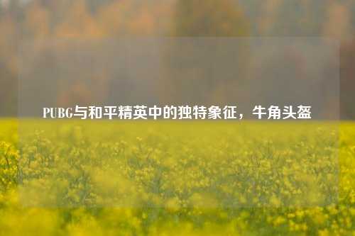 PUBG与和平精英中的独特象征，牛角头盔