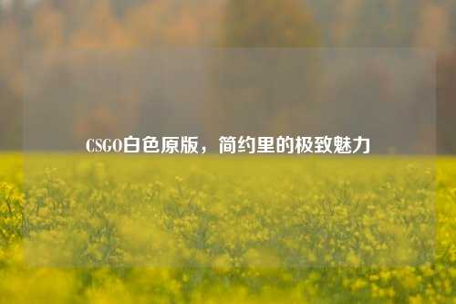 CSGO白色原版，简约里的极致魅力