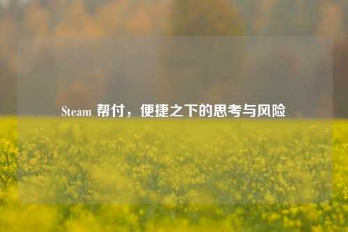 Steam 帮付，便捷之下的思考与风险