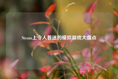 Steam上令人着迷的模拟游戏大盘点