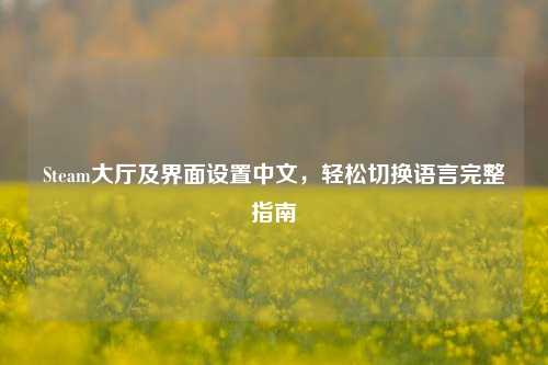 Steam大厅及界面设置中文，轻松切换语言完整指南
