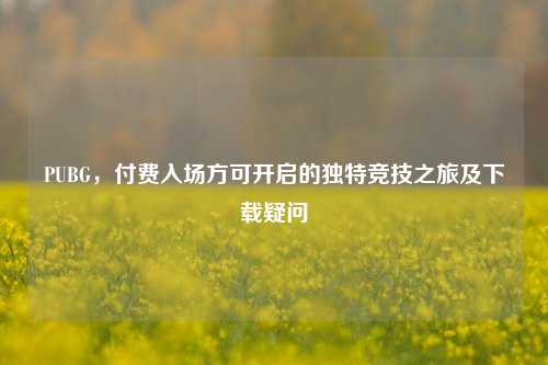 PUBG，付费入场方可开启的独特竞技之旅及下载疑问