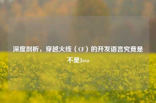 深度剖析，穿越火线（CF）的开发语言究竟是不是Java