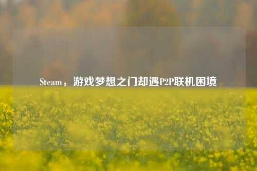 Steam，游戏梦想之门却遇P2P联机困境