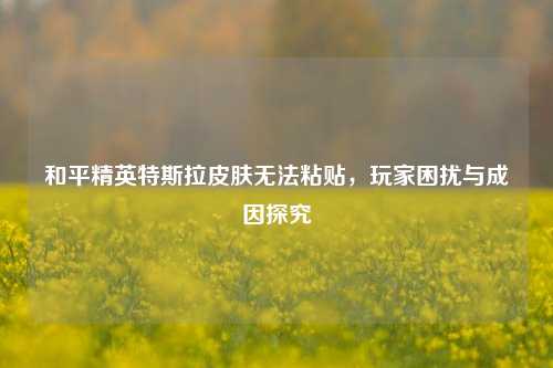 和平精英特斯拉皮肤无法粘贴，玩家困扰与成因探究