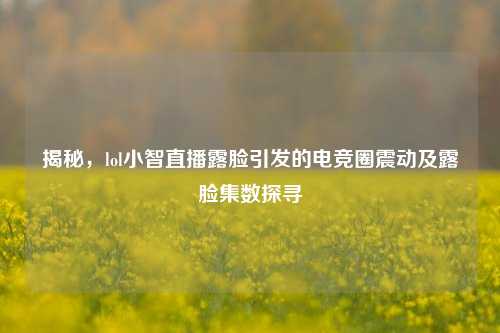 揭秘，lol小智直播露脸引发的电竞圈震动及露脸集数探寻