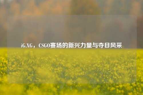 iG.XG，CSGO赛场的新兴力量与夺目风采