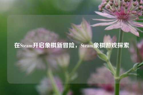 在Steam开启象棋新冒险，Steam象棋游戏探索