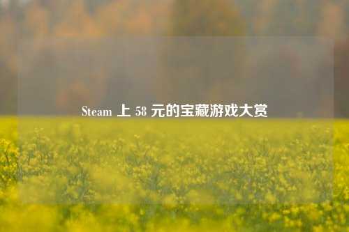 Steam 上 58 元的宝藏游戏大赏