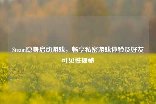Steam隐身启动游戏，畅享私密游戏体验及好友可见性揭秘