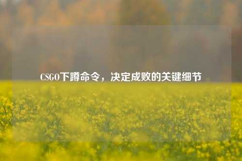 CSGO下蹲命令，决定成败的关键细节