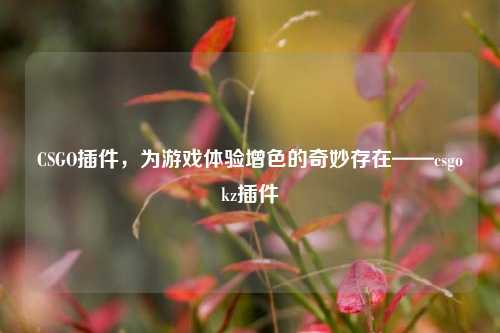 CSGO插件，为游戏体验增色的奇妙存在——csgokz插件