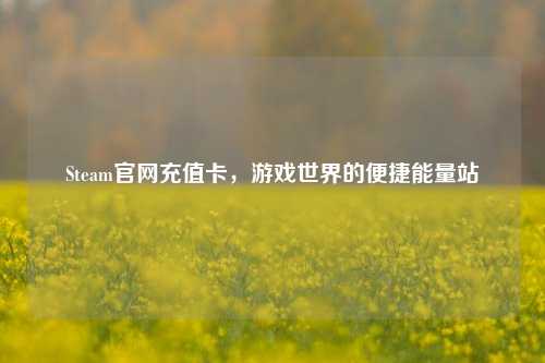Steam官网充值卡，游戏世界的便捷能量站
