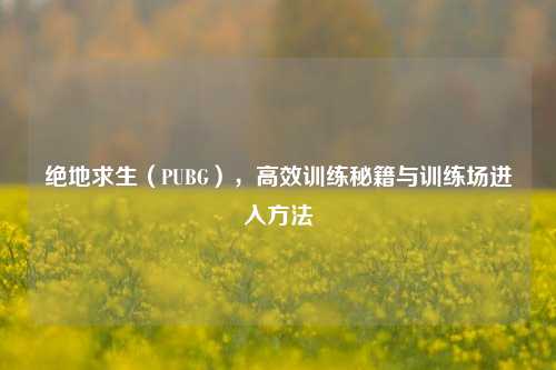 绝地求生（PUBG），高效训练秘籍与训练场进入方法