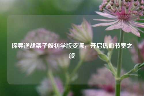 探寻逆战架子鼓初学版资源，开启热血节奏之旅