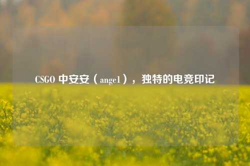 CSGO 中安安（ange1），独特的电竞印记