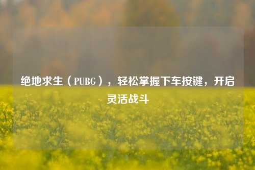 绝地求生（PUBG），轻松掌握下车按键，开启灵活战斗