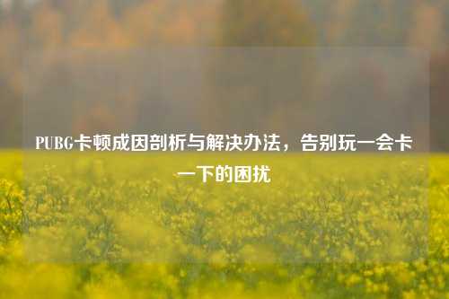 PUBG卡顿成因剖析与解决办法，告别玩一会卡一下的困扰