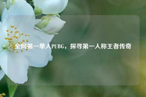 全网第一单人PUBG，探寻第一人称王者传奇