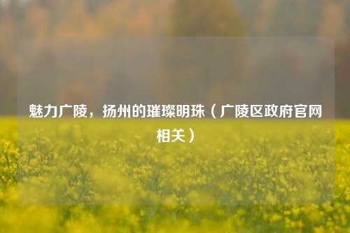 魅力广陵，扬州的璀璨明珠（广陵区政府官网相关）