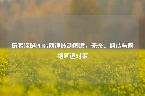 玩家深陷PUBG网速波动困境，无奈、期待与网络延迟对策