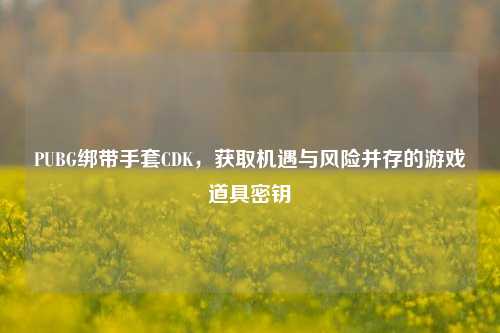 PUBG绑带手套CDK，获取机遇与风险并存的游戏道具密钥