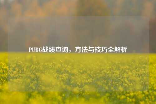 PUBG战绩查询，方法与技巧全解析
