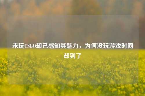 未玩CSGO却已感知其魅力，为何没玩游戏时间却到了