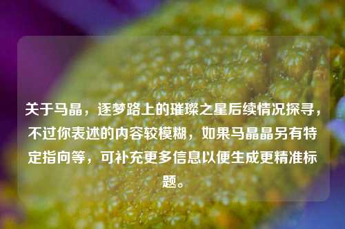 关于马晶，逐梦路上的璀璨之星后续情况探寻，不过你表述的内容较模糊，如果马晶晶另有特定指向等，可补充更多信息以便生成更精准标题。