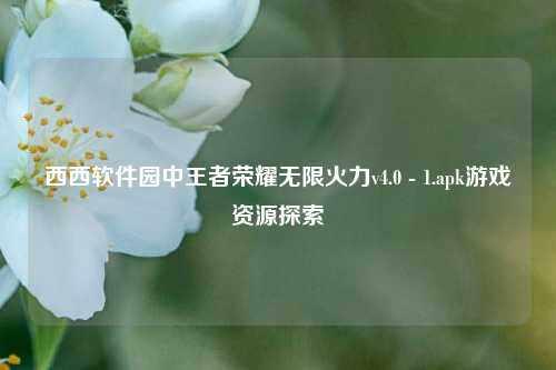 西西软件园中王者荣耀无限火力v4.0 - 1.apk游戏资源探索