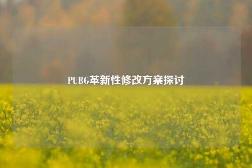 PUBG革新性修改方案探讨