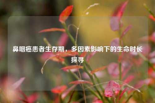 鼻咽癌患者生存期，多因素影响下的生命时长探寻