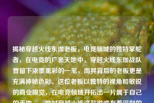 揭秘穿越火线东珈老板，电竞领域的独特掌舵者，在电竞的广袤天地中，穿越火线东珈战队曾留下浓墨重彩的一笔，而其背后的老板更是充满神秘色彩。这位老板以独特的视角和敏锐的商业嗅觉，在电竞领域开拓出一片属于自己的天地。，他对穿越火线这款游戏有着深刻的理解，不仅大力支持战队的组建与发展，为选手们提供优质的训练环境和后勤保障，还积极推动战队参与各类赛事。在他的带领下，东珈战队在比赛中展现出强大的实力，收获了众多粉丝的喜爱。，在商业运营方面，他巧妙地将电竞与品牌推广相结合，通过战队的影响力吸引了众多赞助商，实现