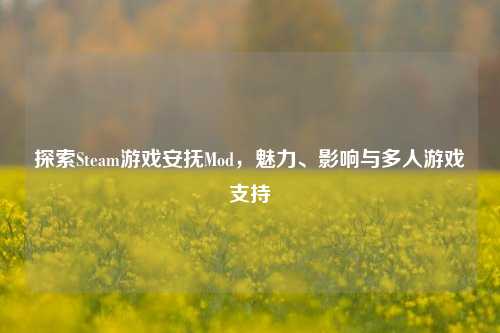 探索Steam游戏安抚Mod，魅力、影响与多人游戏支持