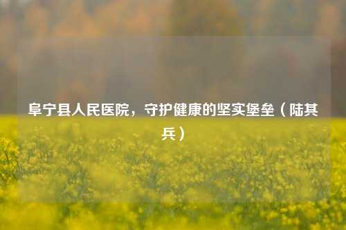 阜宁县人民医院，守护健康的坚实堡垒（陆其兵）