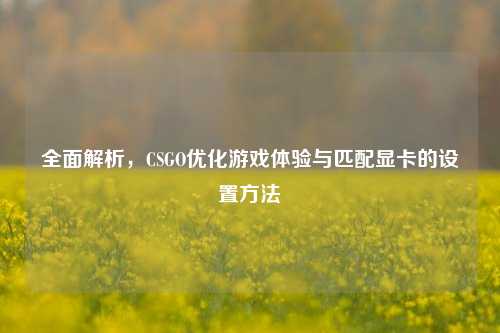 全面解析，CSGO优化游戏体验与匹配显卡的设置方法