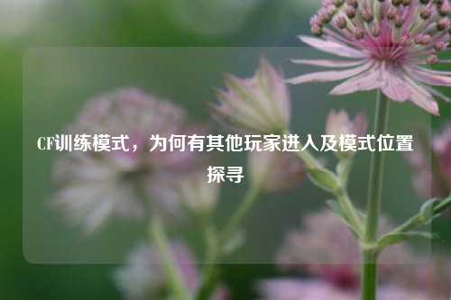 CF训练模式,为何有其他玩家进入及模式位置探寻