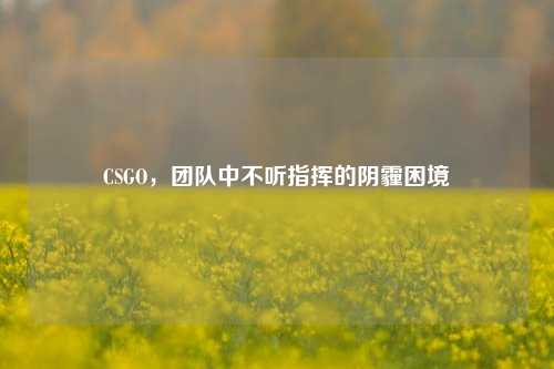CSGO，团队中不听指挥的阴霾困境