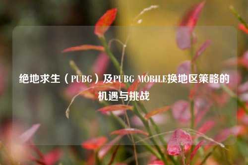 绝地求生（PUBG）及PUBG MOBILE换地区策略的机遇与挑战