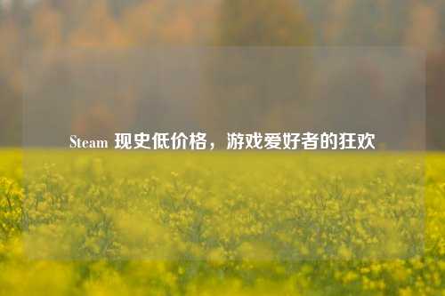 Steam 现史低价格，游戏爱好者的狂欢