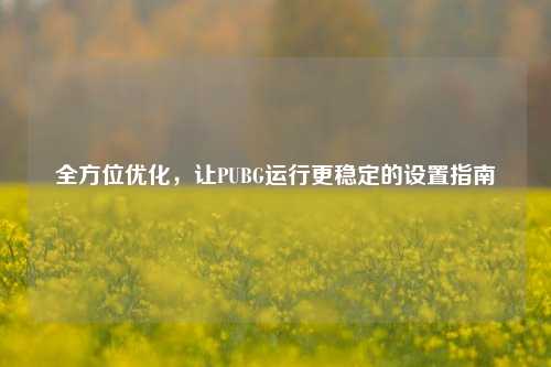 全方位优化，让PUBG运行更稳定的设置指南